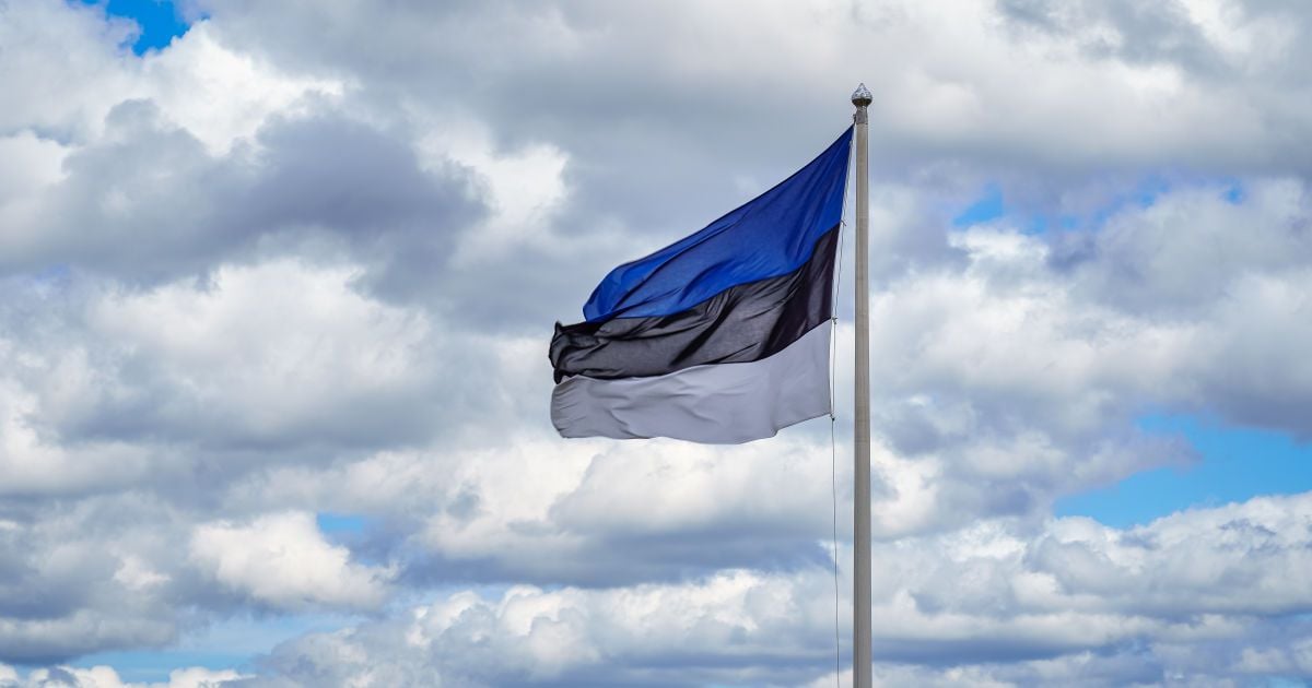 Естонія зможе відбити напад Росії – генерал Мартін Херем