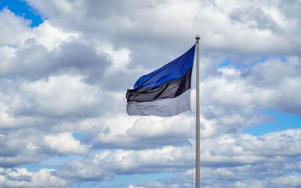 В Естонії збираються заборонити росіянам та білорусам мати будь-яку зброю