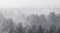 Гороскоп 19-25 лютого 2024 року