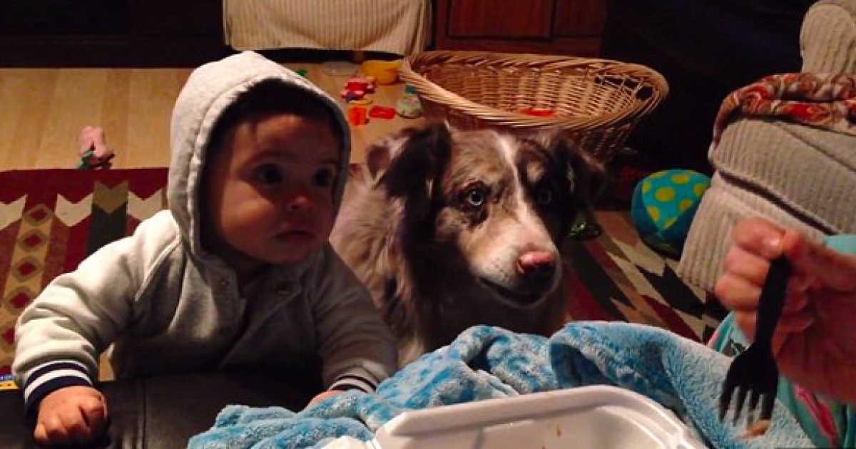 Видео появилось в Сети еще в феврале, но стало вирусным в последние несколько недель