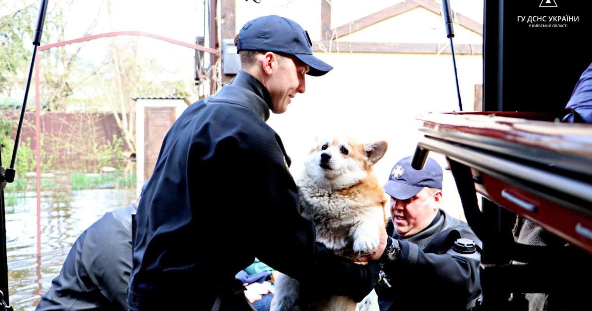У Вишгородському районі евакуювали родини з підтоплених будинків