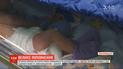 Большое пополнение: в Кировоградской области родилась четверня