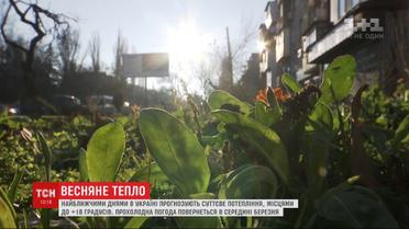 Март в Украине "принял эстафету" от февраля и тоже будет аномально теплым