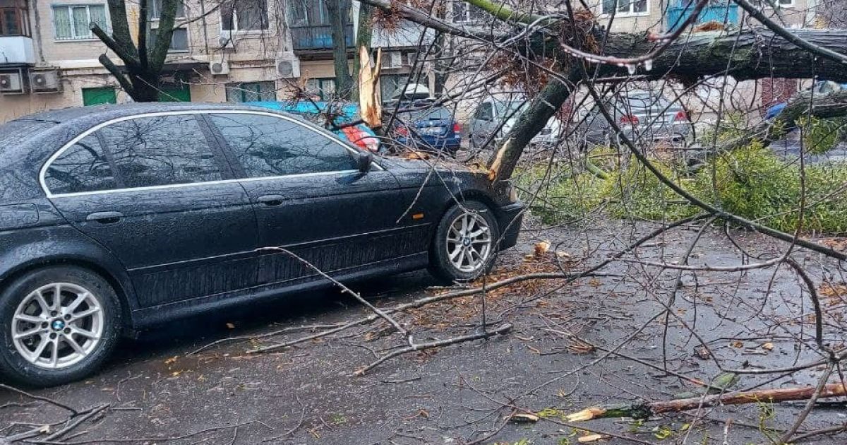 У Києві через негоду падають дерева: пошкоджено автівки