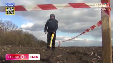 Як відбувається процес посівної під час війни
