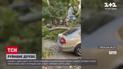 В Одессе дерево раздавило сразу семь припаркованных авто