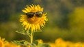 Літні зачіски