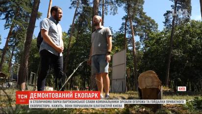 В парке Партизанской славы коммунальщики срезали забор и качели частного эко-пространства