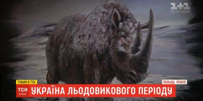 Украина ледникового периода: на Прикарпатье нашли пределы болота, где утонули доисторические животные