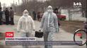 Село у Миколаївській області закрили на карантин через пташиний грип
