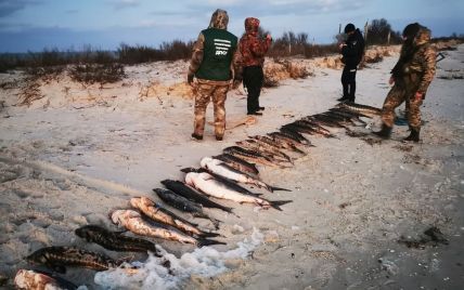 Наловили риби на понад 4,5 млн грн і три роки в'язниці: біля острова Джарилгач затримали браконьєрів