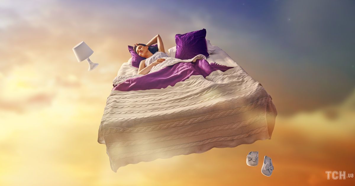 «Кот — к ссоре»: можно ли верить снам и сонникам