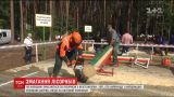 На Київщині лісоруби змагаються у спритності та вправності