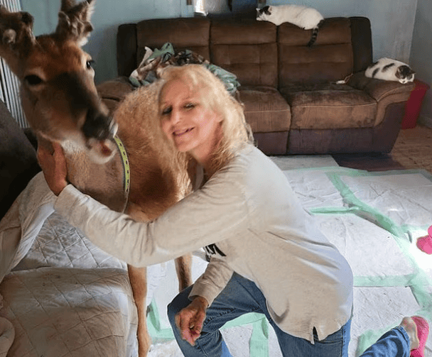 Джоди Прогер погибла после нападения оленя, реабилитированного на собственной ферме Фото: Jodi Proger/Facebook