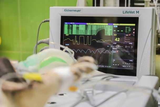 У министра случился инсульт в прямом эфире