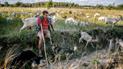 Фото: The Ukrainians