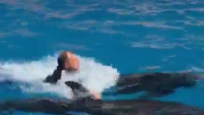 Лидер группы "ВВ" Олег Скрипка поплавал с дельфинами