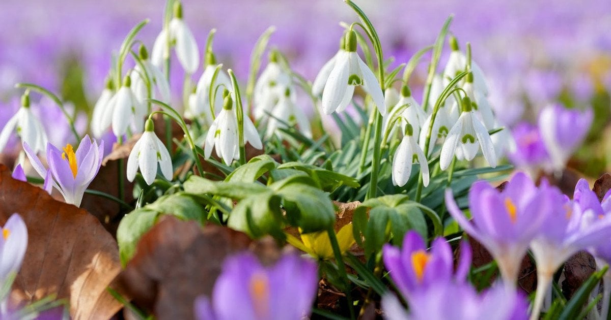 Якою буде погода на вихідних в Україні