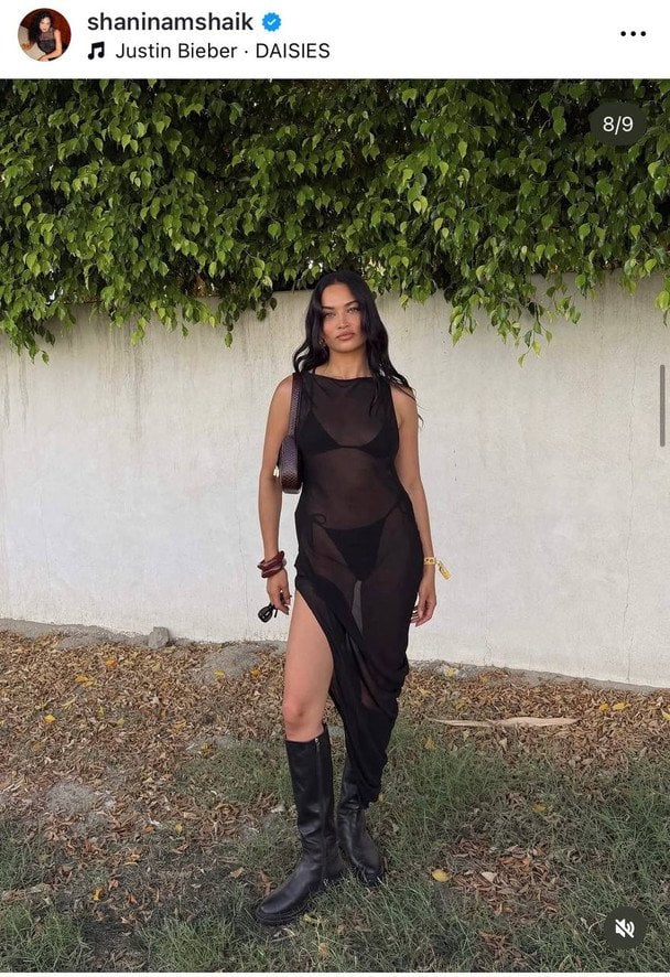 Шаніна Шейк