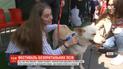 "Мокрі носики": у Луцьку вперше відбувся фестиваль безпритульних собак