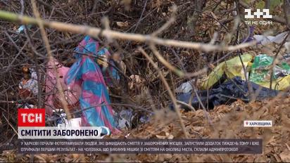 В Харькове начали фотографировать людей, выбрасывающих мусор в запрещенных местах | Новости Украины