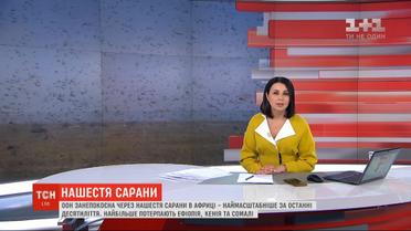 ООН обеспокоена из-за нашествия саранчи в Африке