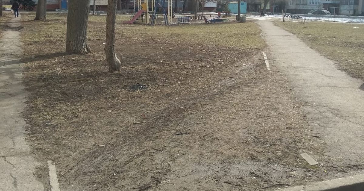 Один в поле — воин: под Днепром девушка-энтузиастка убирает во дворах