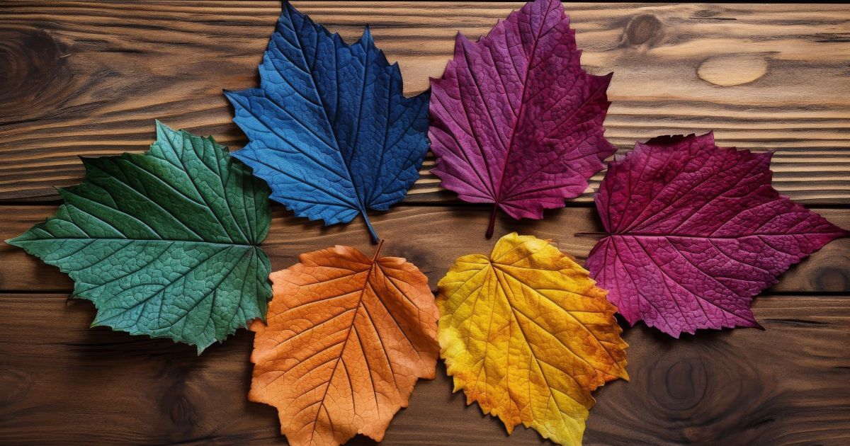 Швидкий особистісний тест