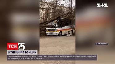 Поваленные деревья и сорванные крыши: Западом Украины прогналась непогода