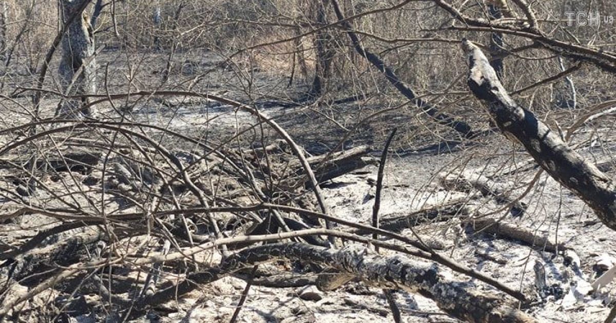 Пожежа у Чорнобильській зоні: який вигляд має селище Поліське після великого вогню
