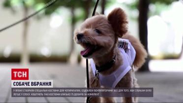 Порятунок від спеки: у Японії створили костюми з вентиляторами для чотирилапих