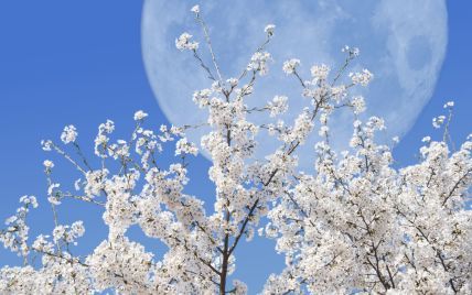 Лунный календарь на 23-24 апреля: дни, когда нужно делать расслабляющий массаж