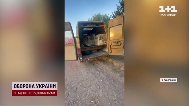 Из Мирнограда вывозят животных