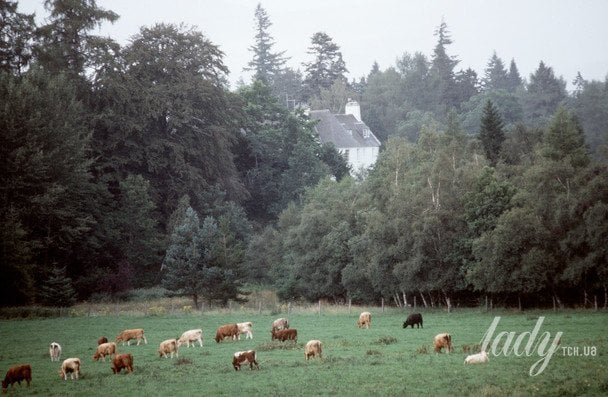 Біркголл у маєтку Балморал, Шотландія, близько 1980-х років / © Getty Images
