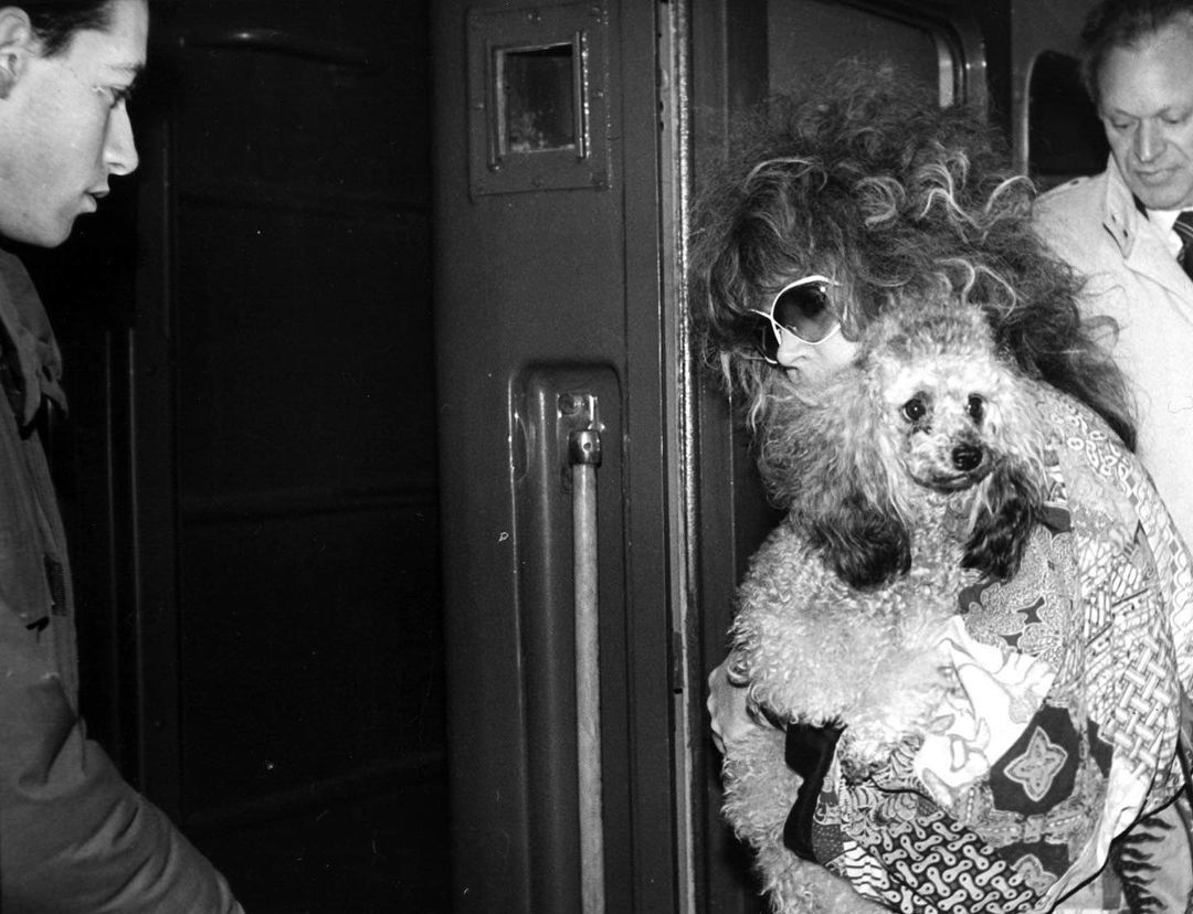 Дмитрий Гордон и Алла Пугачева / © instagram.com/gordondmytro