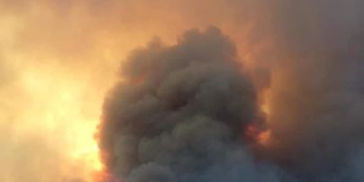 Лесные пожары добрались Алжира: пламя приблизилось к домам, люди вынуждены бежать (фото, видео)