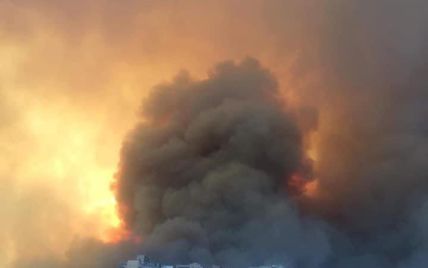 Лесные пожары добрались Алжира: пламя приблизилось к домам, люди вынуждены бежать (фото, видео)