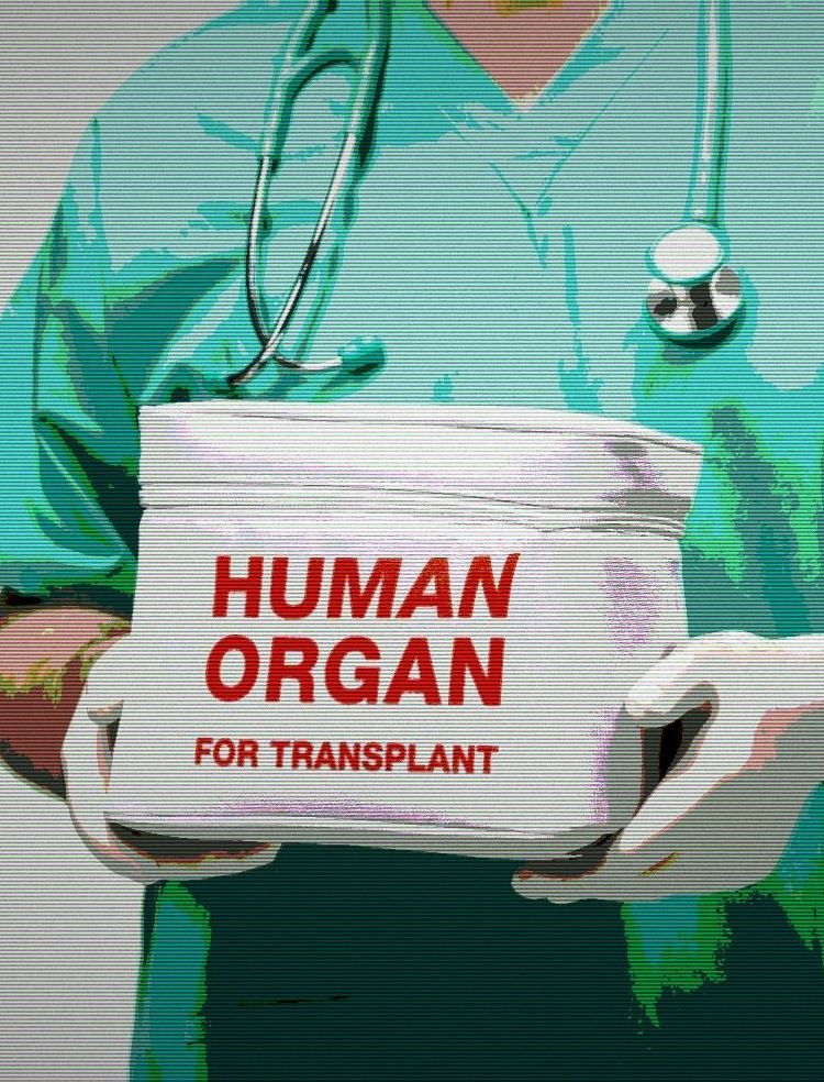 Трансплантология как лакмус для общества