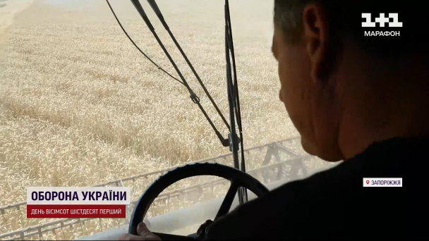 Жнива