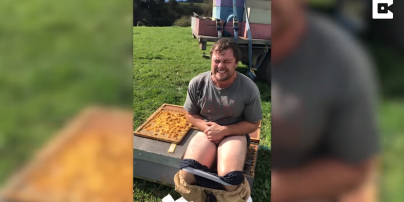 В Новой Зеландии пасечник просидел 30 секунд на улье голой задницей