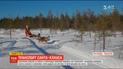 Транспорт Санта-Клауса. ТСН дізналася подробиці життя тварин у Лапландії