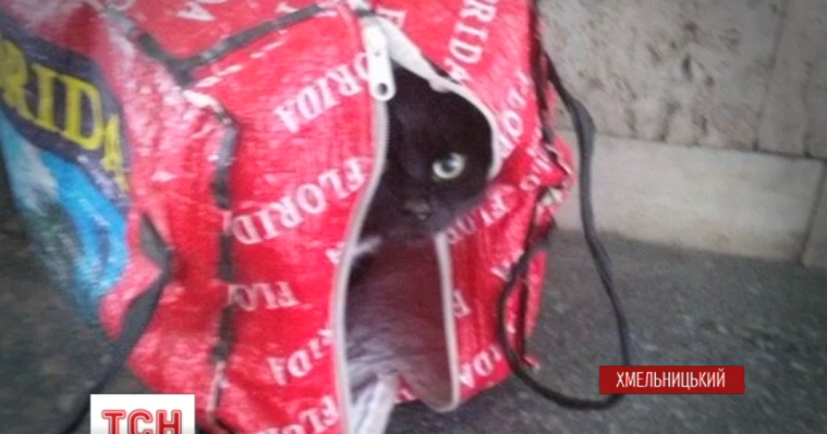 Животное длительное время сидело в сумке тихо