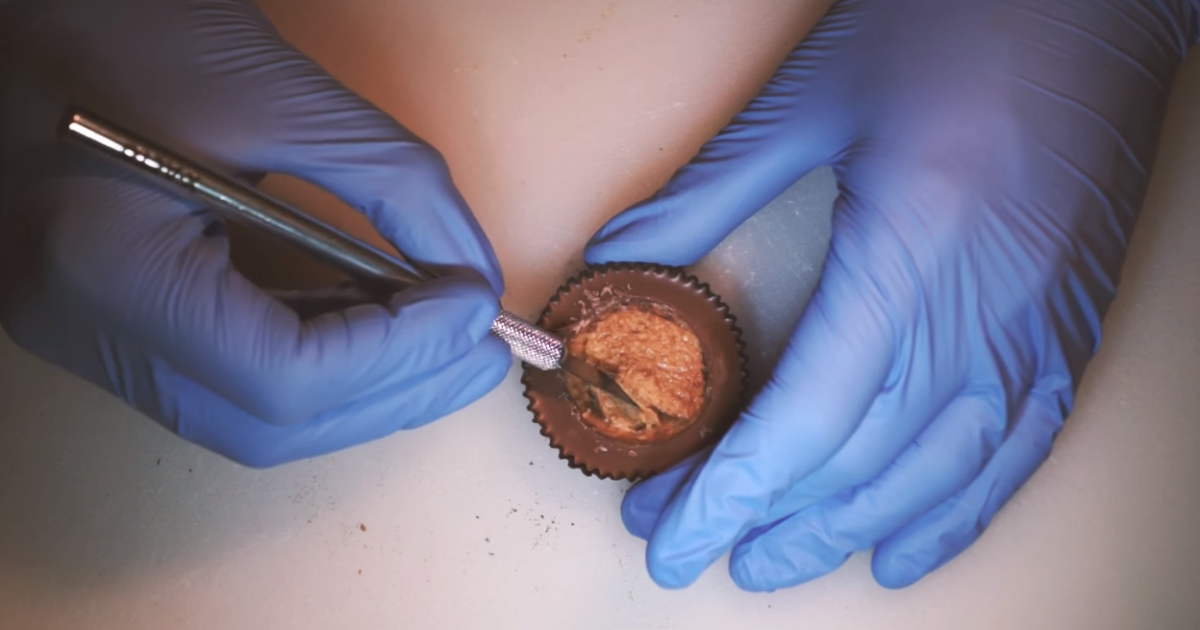 Пес-футболист и хирург, который "чикрыжит" продукты. Тренды соцсетей