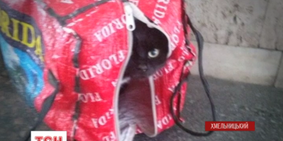 У Хмельницькому чорного кота в сумці прийняли за вибухівку