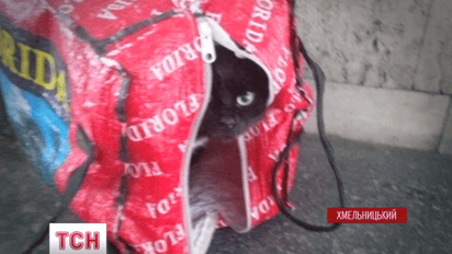Большой переполох произошел на одном из автовокзалов Хмельницкого
