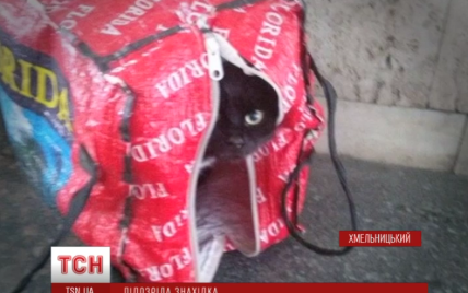 У Хмельницькому чорного кота в сумці прийняли за вибухівку