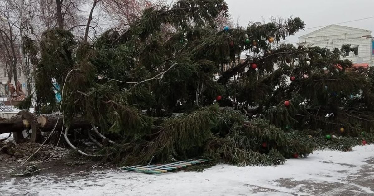 Лопнули растяжки и вывернуло с корнями: в Сумской области шлепнулась главная елка