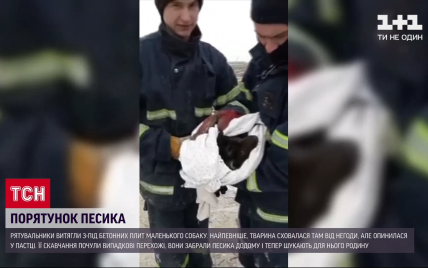 Рятувальникам у Миколаєві довелося діставати із бетонної пастки песика, який сховався туди від негоди