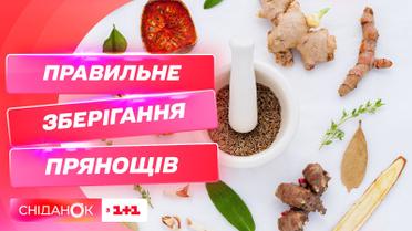Сохраняем специи правильно: какие специи следует покупать и имеют ли они срок годности
