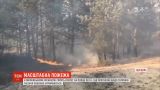 В Одесской области горит 50 гектаров камыша, тушить пожар помогает авиация